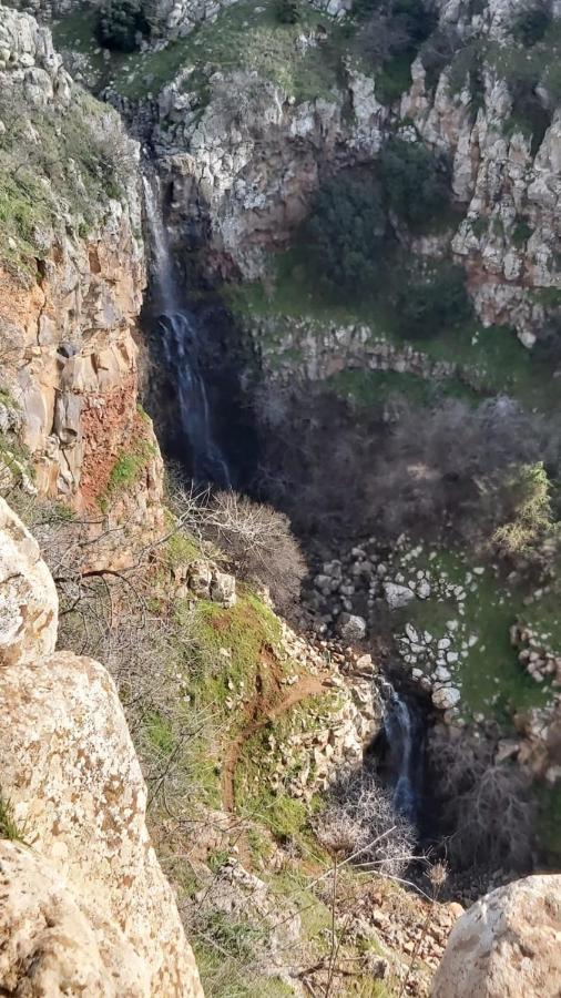 Luxury Caravan Truck In The Golan Heights Bruchim Qela' Alon Εξωτερικό φωτογραφία